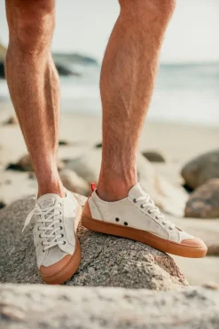 Men &SONS Footwear>Baseline Basketball Low Top